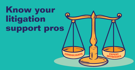 Know your litigation support pros