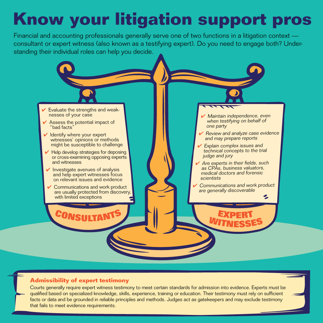 Know your litigation support pros